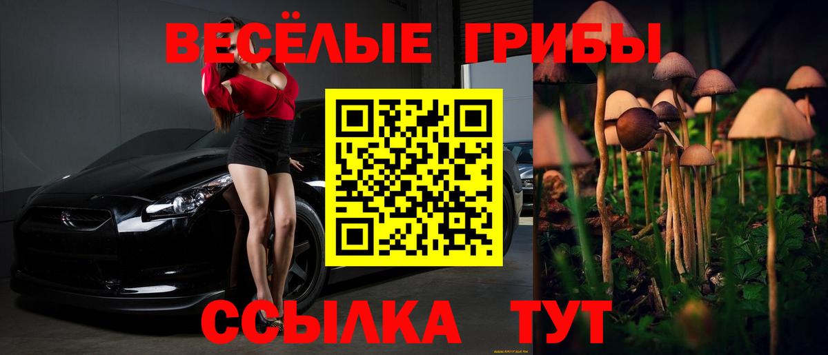 Псилоцибиновые грибы Magic Shrooms  закладки  Галлюциногенные грибы Psilocybe  Горячий Ключ  Вход с VPN 